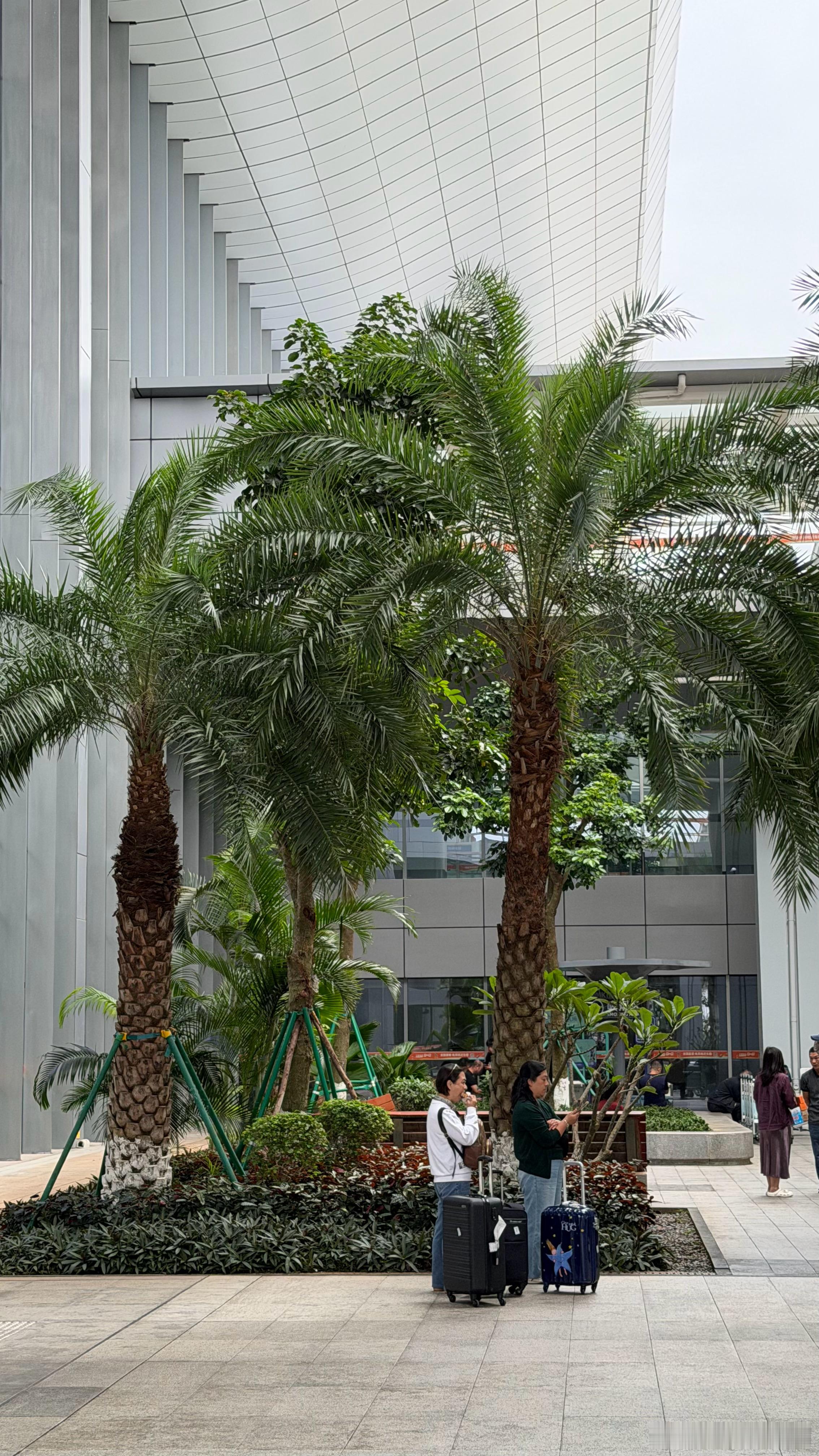 一张图证明你在海南 