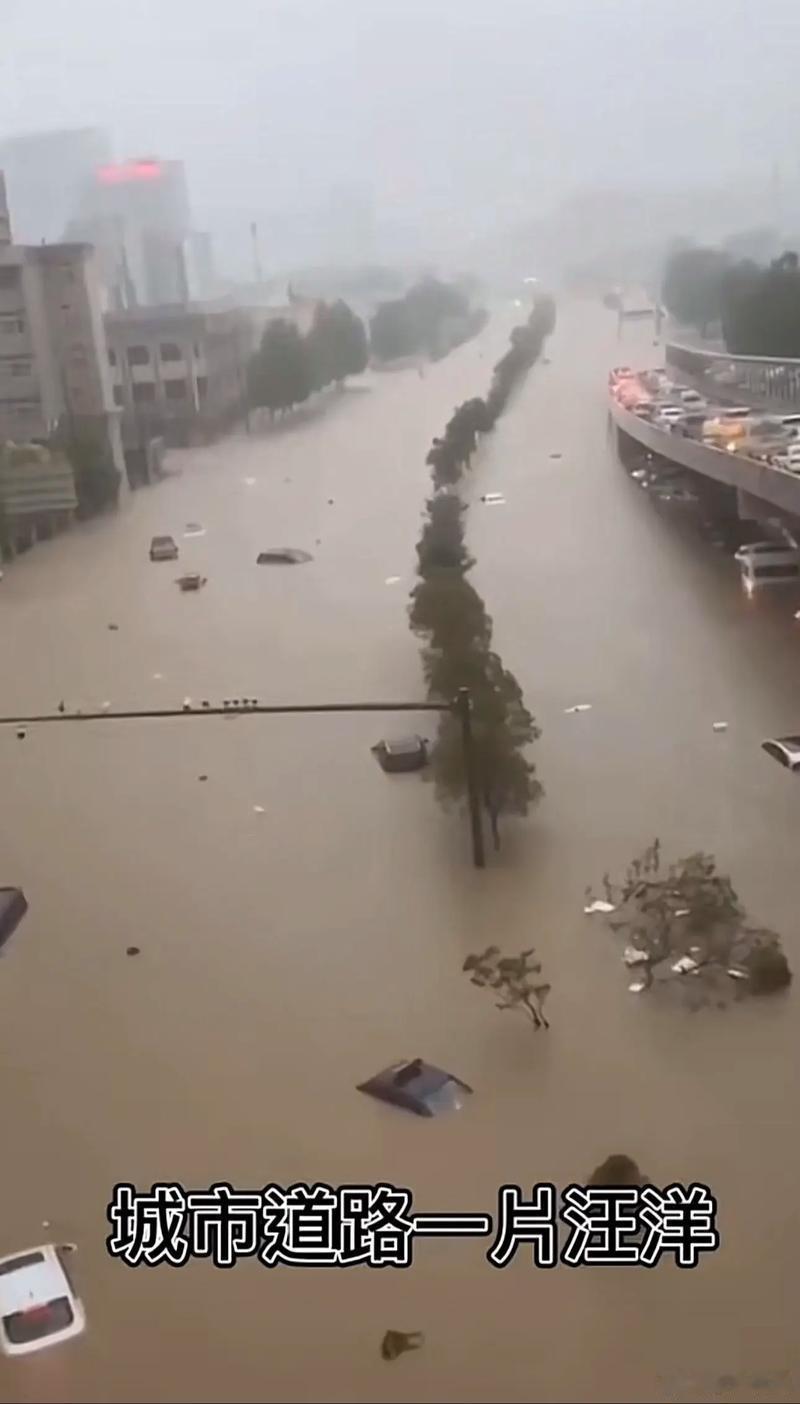 河南大暴雨特大暴雨8月10日9时30分，河南发暴雨黄色预警：受台风“白海豚”影响