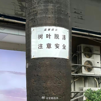 给北方人一点南方落叶震撼[哆啦A梦害怕]#我的春日狂欢日记##遇见春天# ​​​
