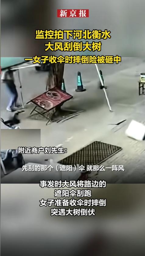 “这么粗的树都能倒？”6月4日，河北衡水，一女子在路边收遮阳伞，大风袭来，伞被风