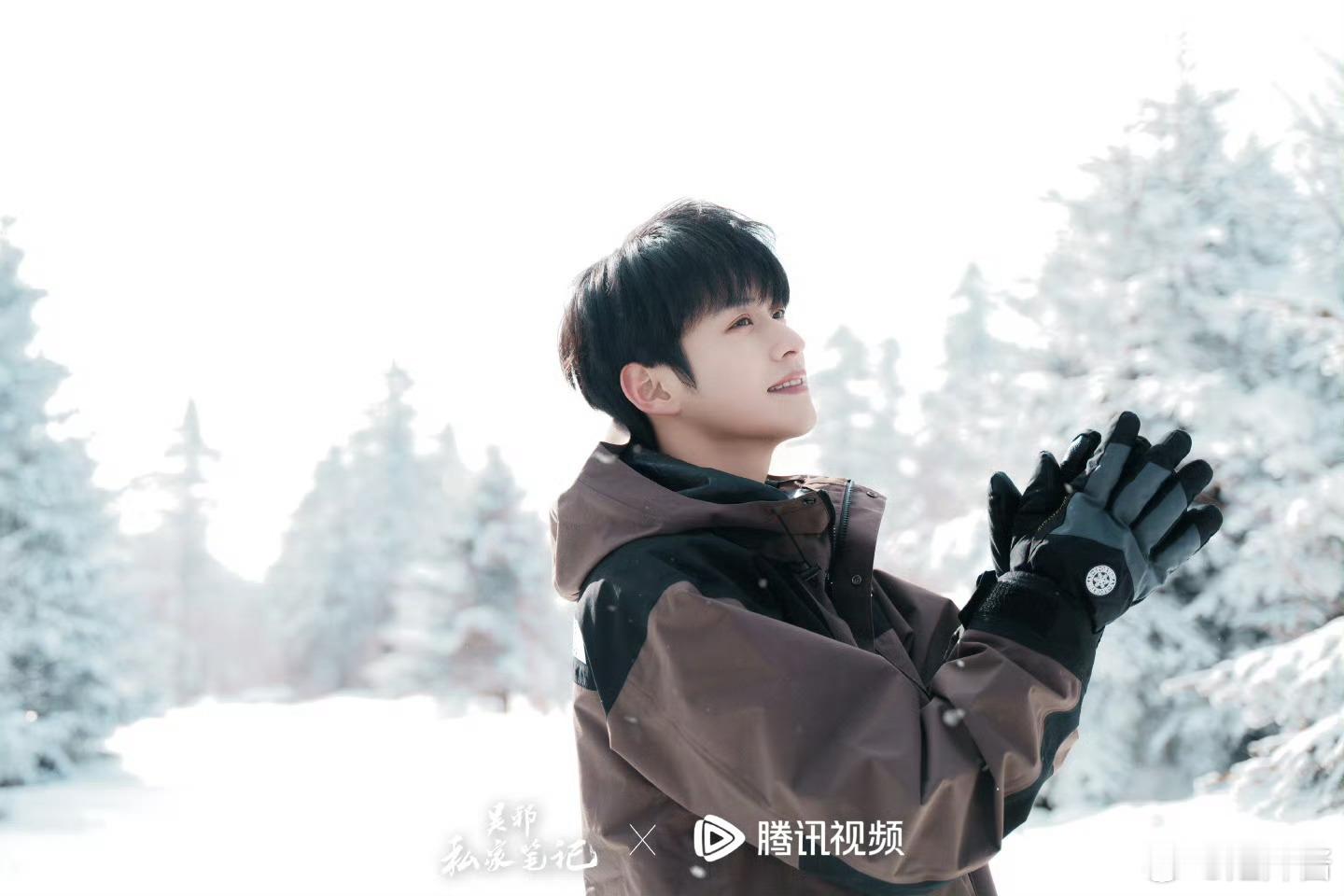 分享图片 ​​​