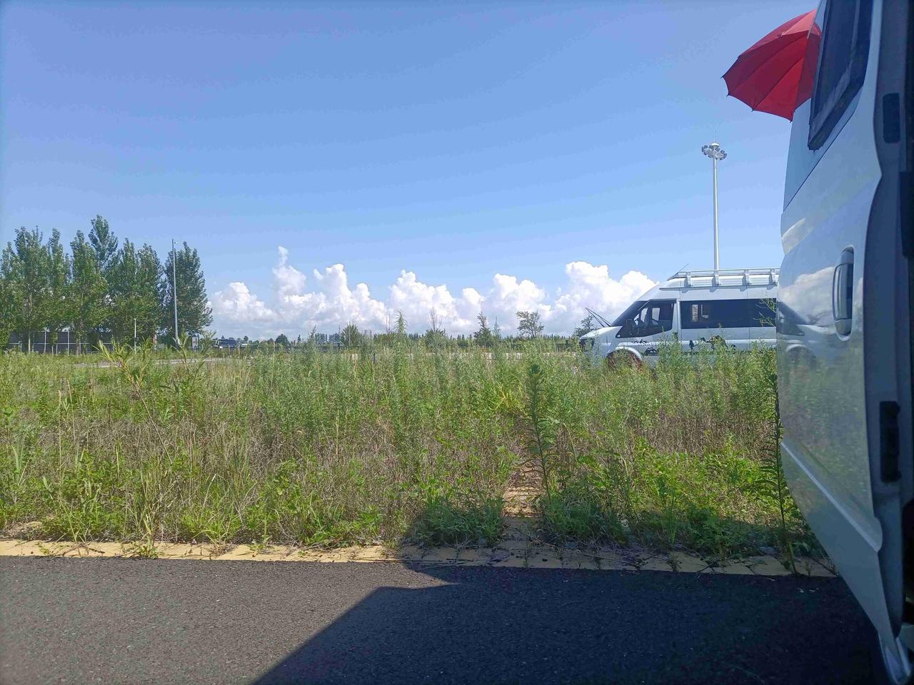 我的今日状态：💰期待暴富
我这里的天气：🌧下雨
今天是七月二十五日中伏，昨天