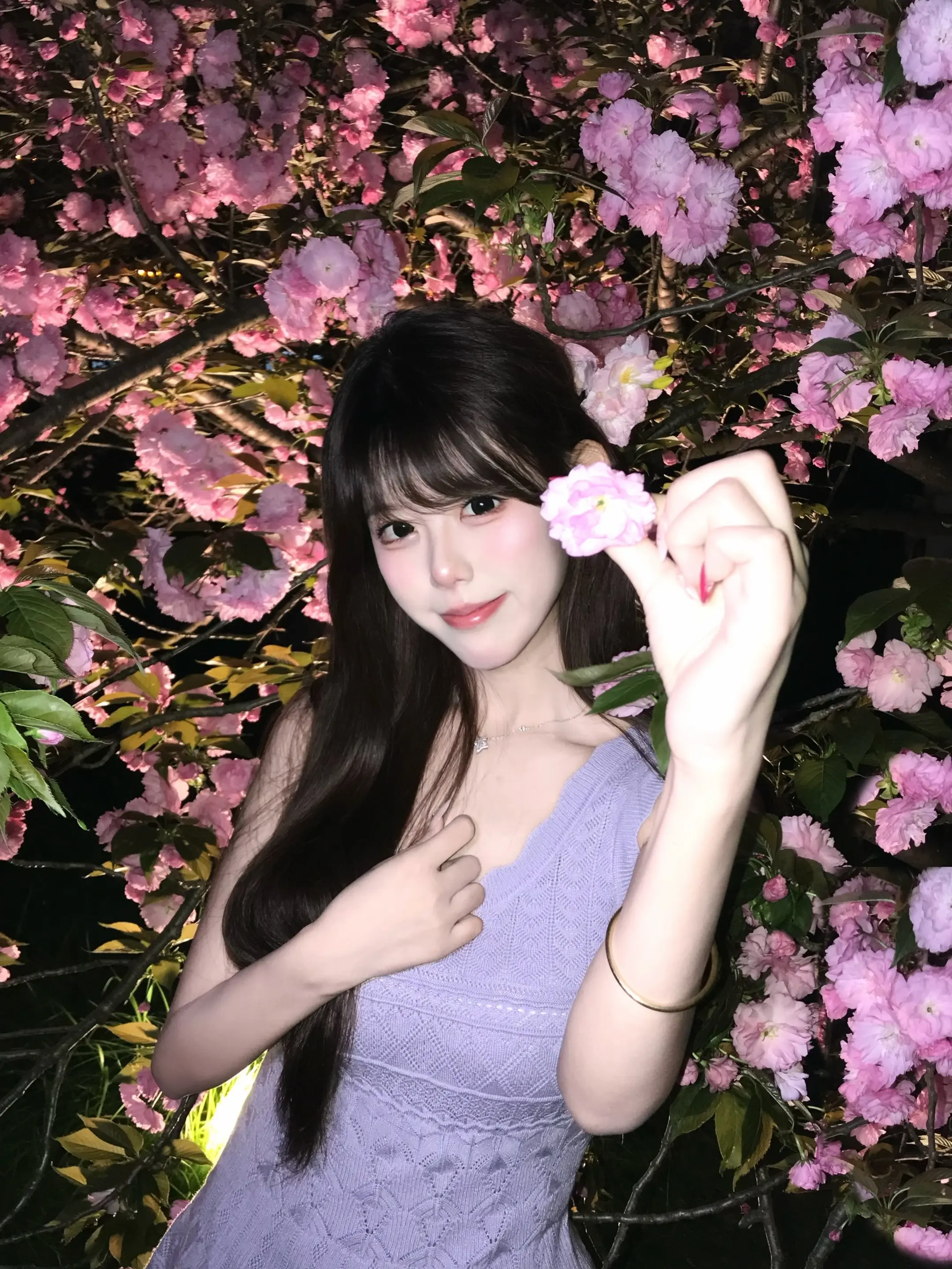樱花我们明年再见🌸