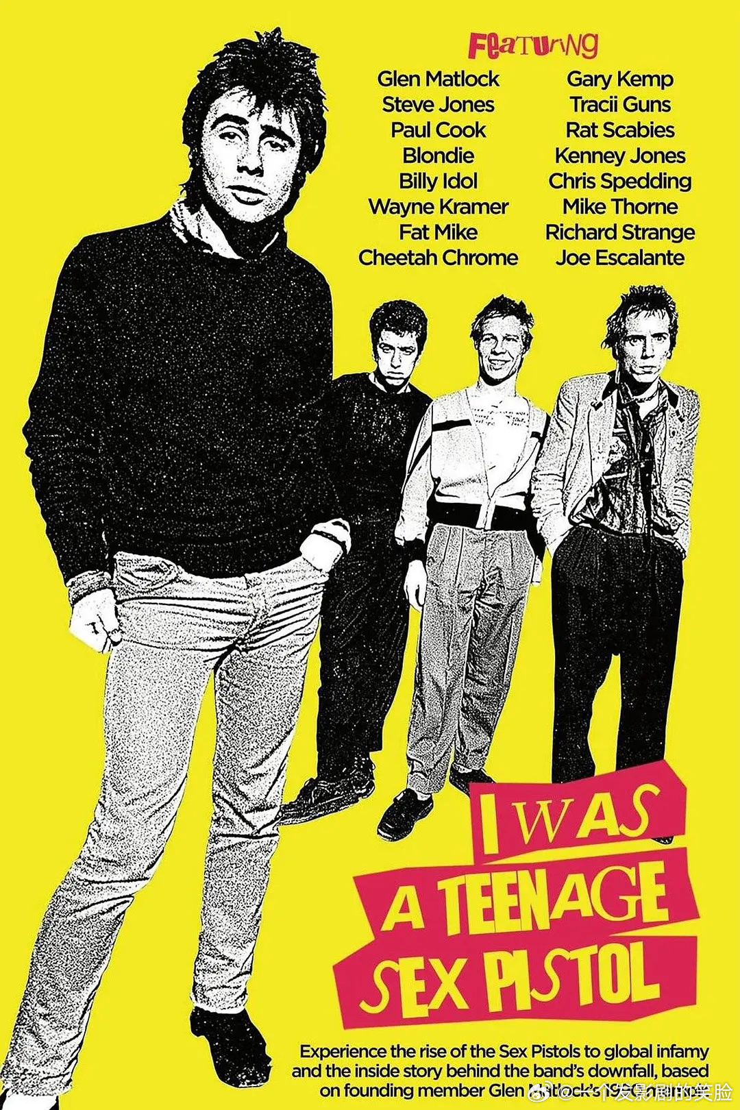 【我曾是少年性手枪】 I Was a Teenage Sex Pistol (2