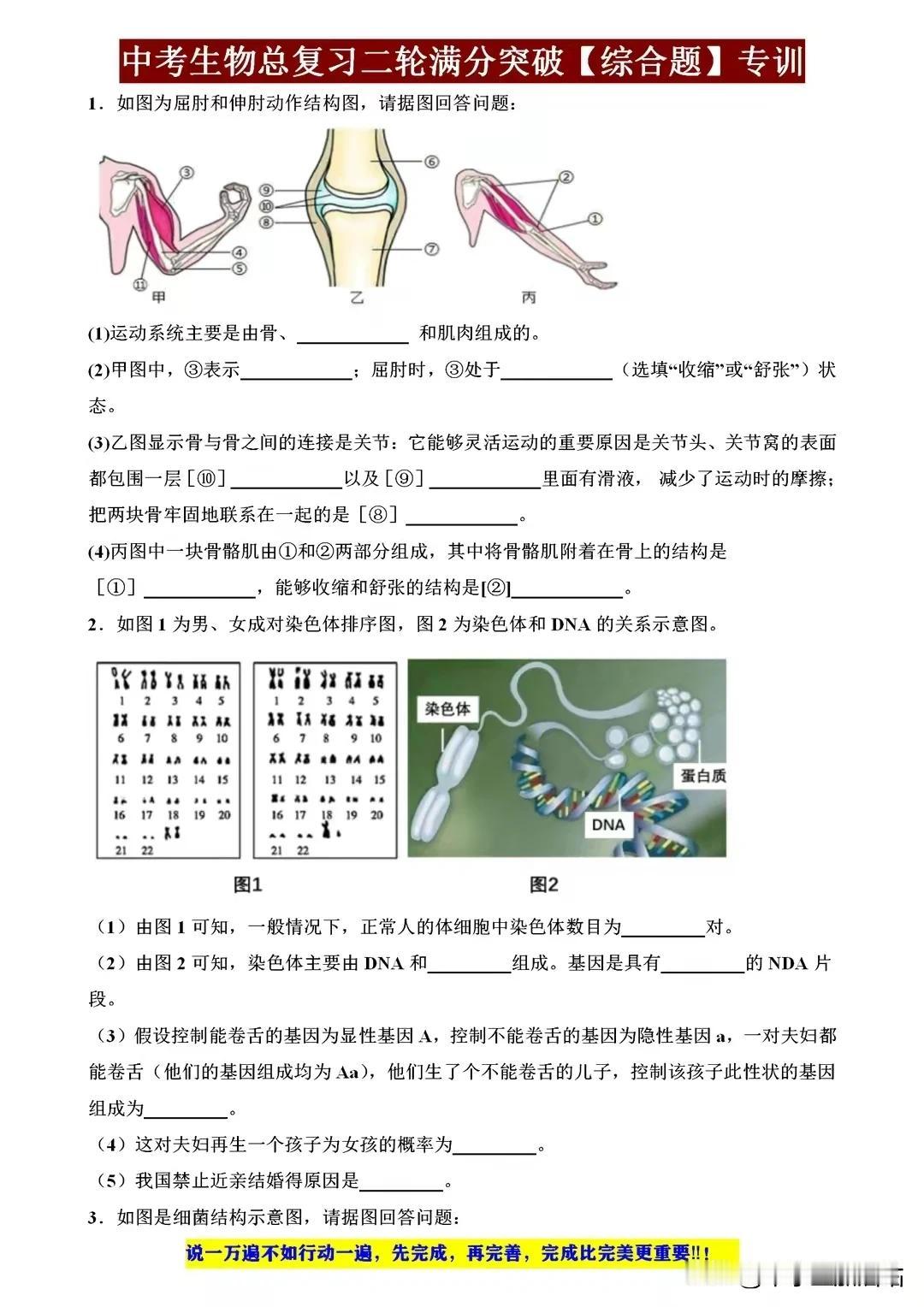 2024年八年级生物结业考试满分突破专练，抓住这些，才是少丢分！
2024年八年