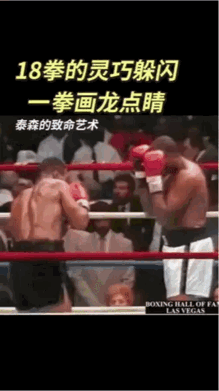 历史最强重量级拳王！一张图看懂迈克·泰森！
没有一个重量级拳手能像泰森一样，在一
