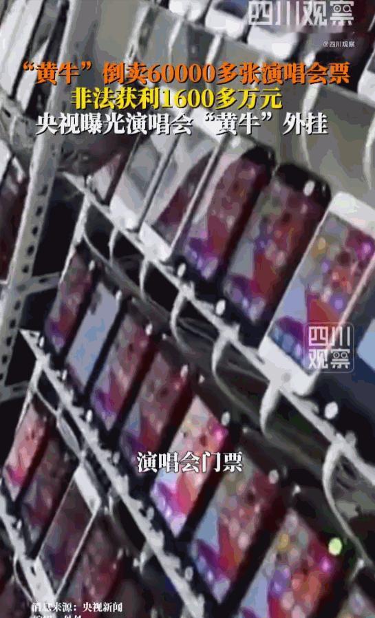 “人心不足蛇吞象！”江苏镇江一名本该前途光明的互联网大厂技术精英，放着光鲜稳定的