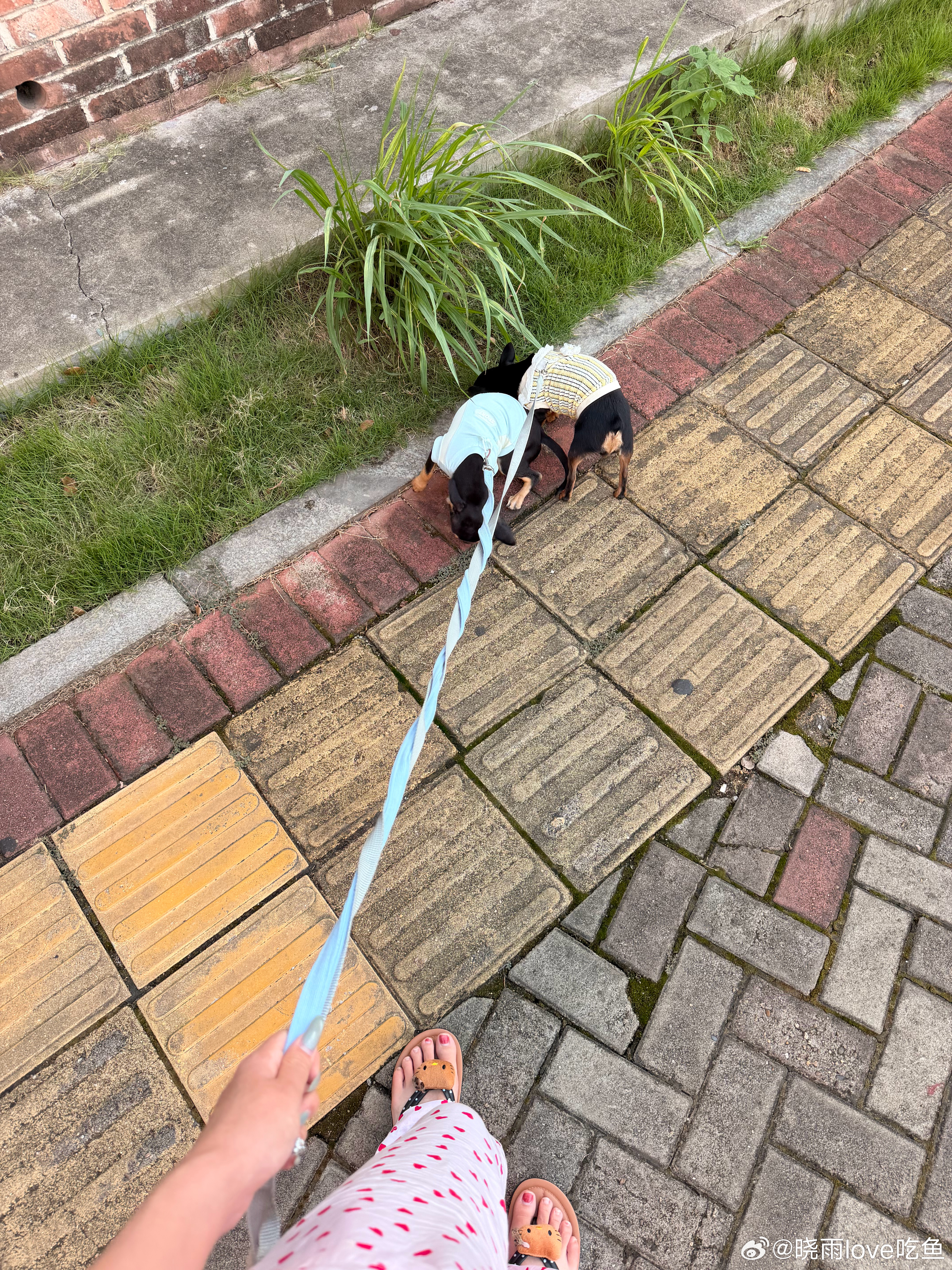 这姐弟俩