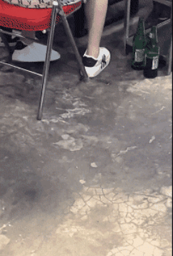 这腿还能抢救一下 