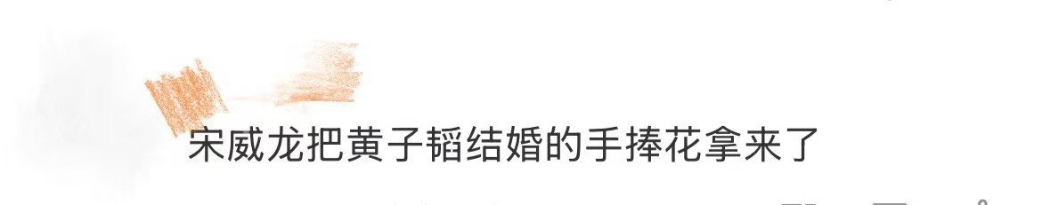 宋威龙是拿了黄子韬的捧花吗 这联想简直绝了！传宋威龙拿黄子韬捧花上Vogue红毯