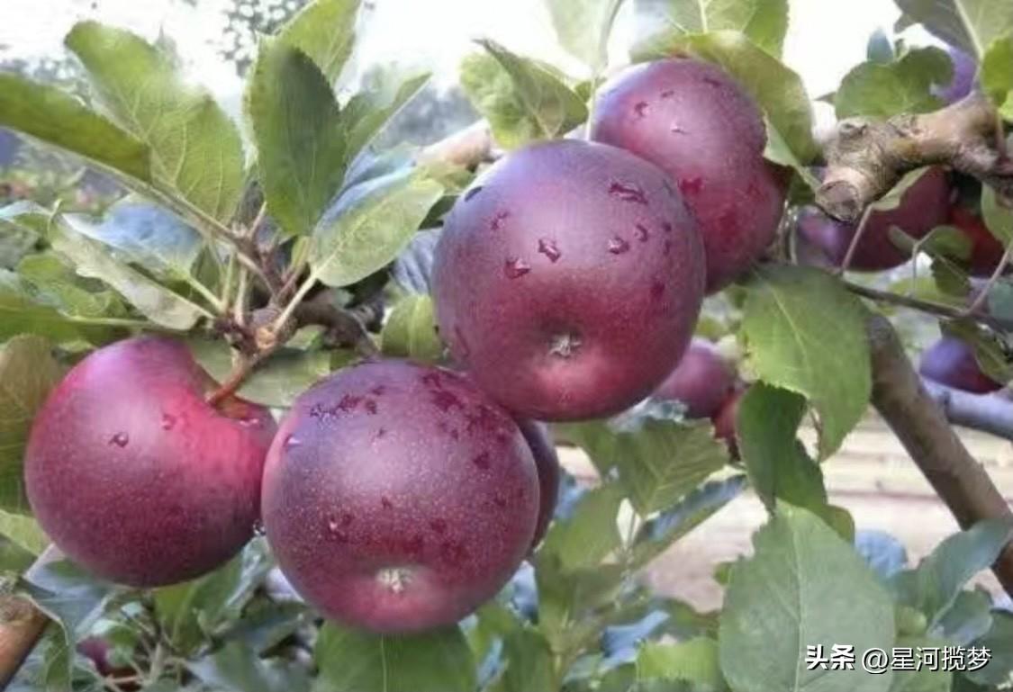 月薪一万多在上海生活，只能说勉强够。税前一万多，扣完五险一金和个税后，到手也就八