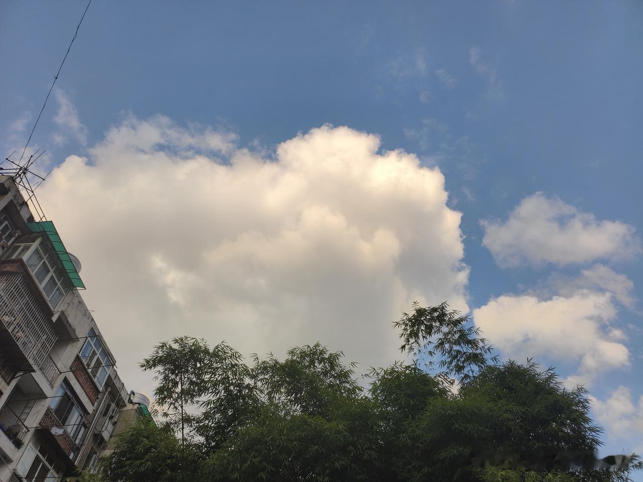 说个我今天听到的事情，有个爱打牌的阿姨告诉我，她今天又去打牌了，还是我们隔壁小区