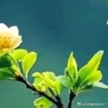 人要拿得起，也要放得下。拿得起是生存，放得下是生活；拿得起是潜质，放得下是智慧。