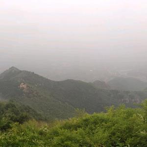 杨迎辉