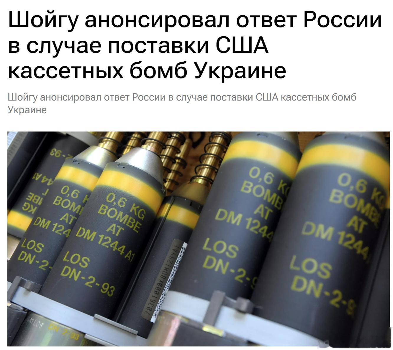 俄罗斯国防部长绍伊古表示，如果美国向乌克兰提供集束弹药，俄罗斯军队将被迫对乌克兰