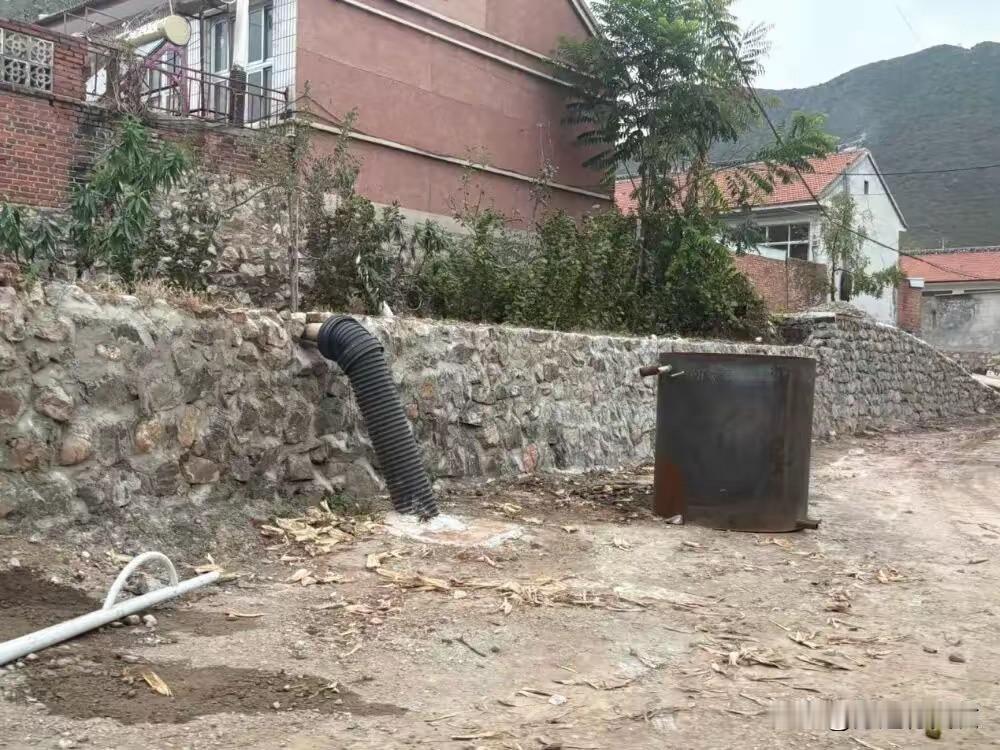 稿件来自头条Al订阅