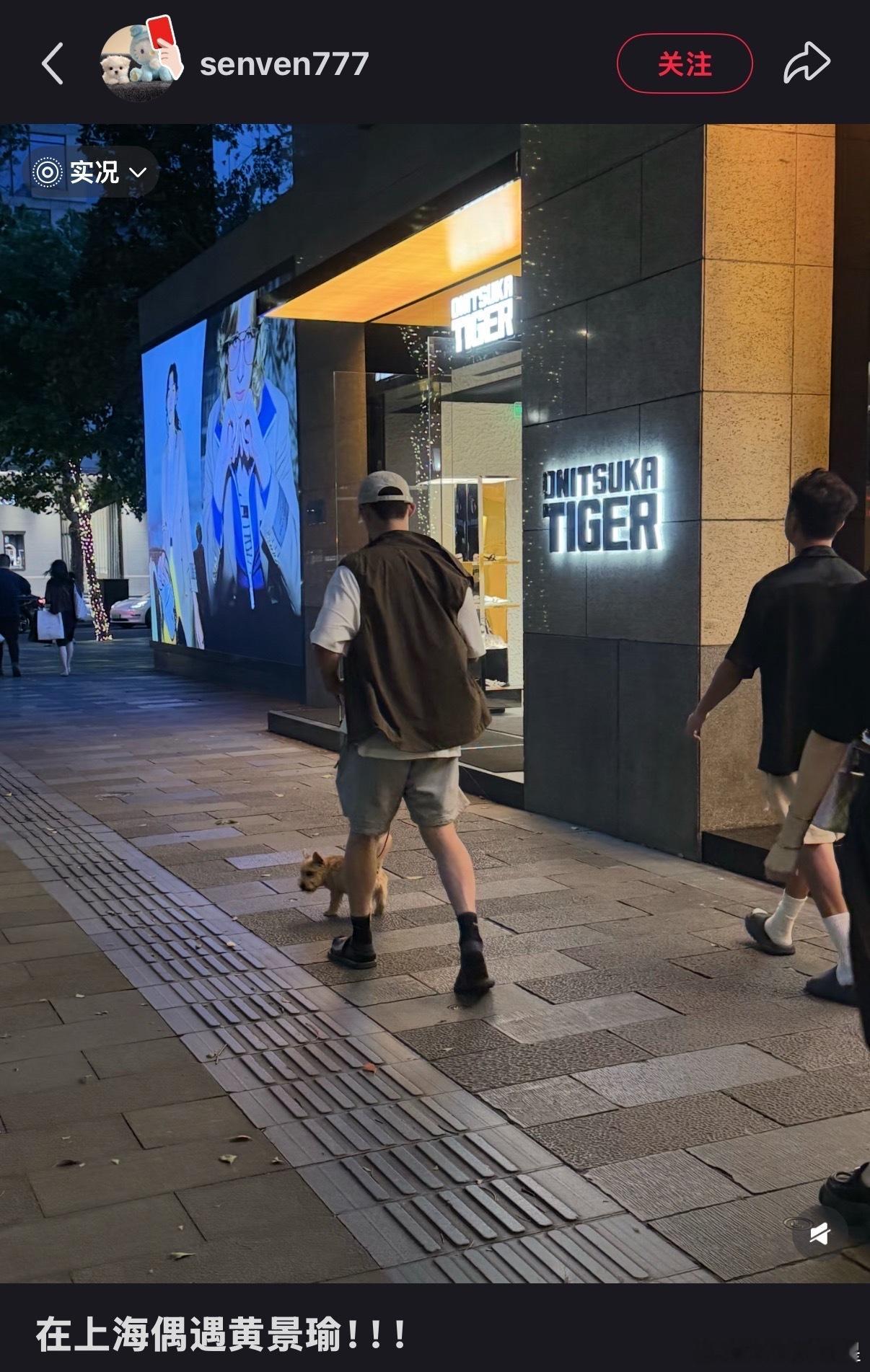 闲不住的黄景瑜又出门了哈哈哈上海偶遇黄景瑜遛狗
