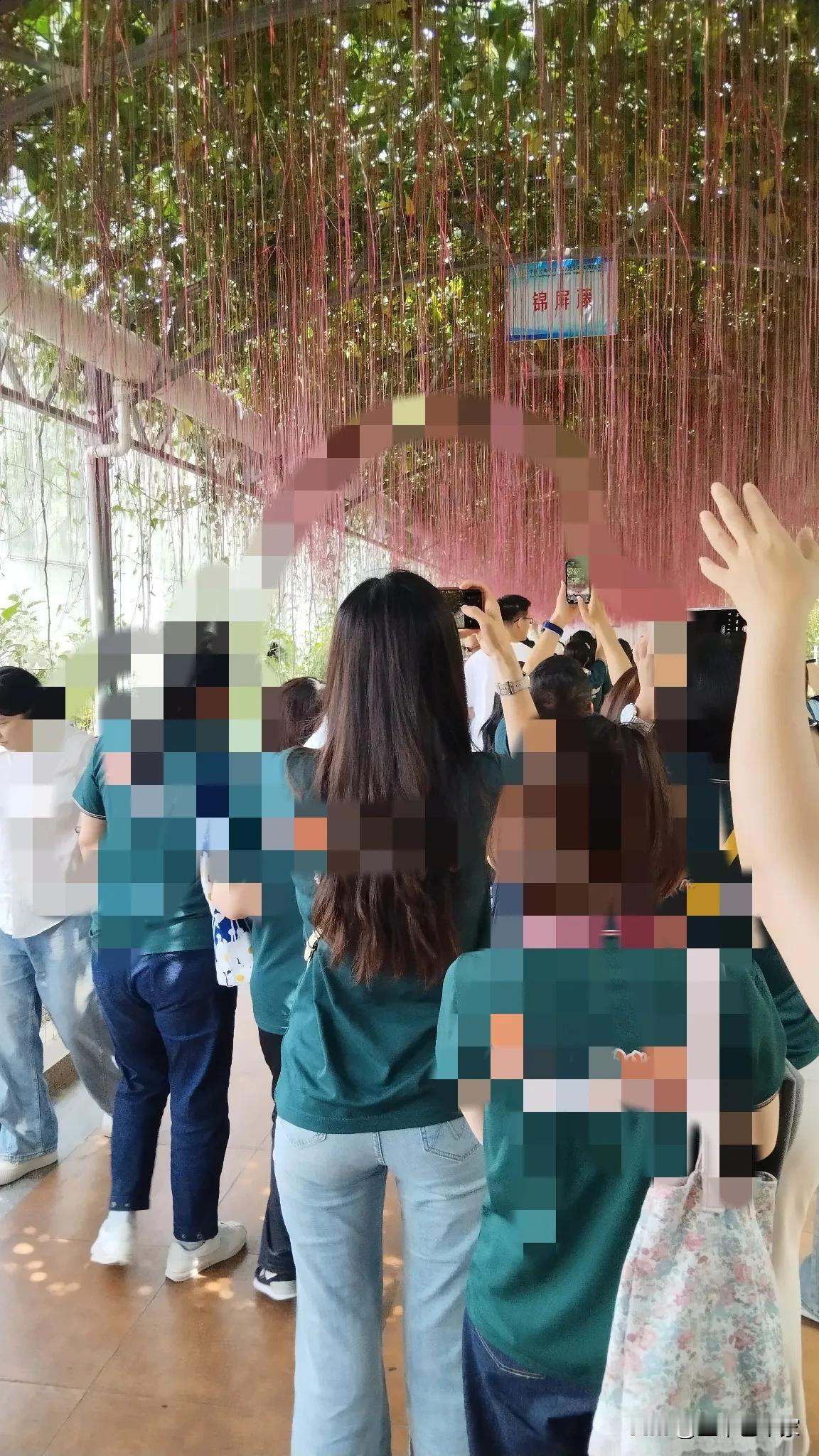 美女妙曼的背影，你们认为可以打几分？
女孩子穿牛仔裤配宽松T体恤，真的是有很大杀