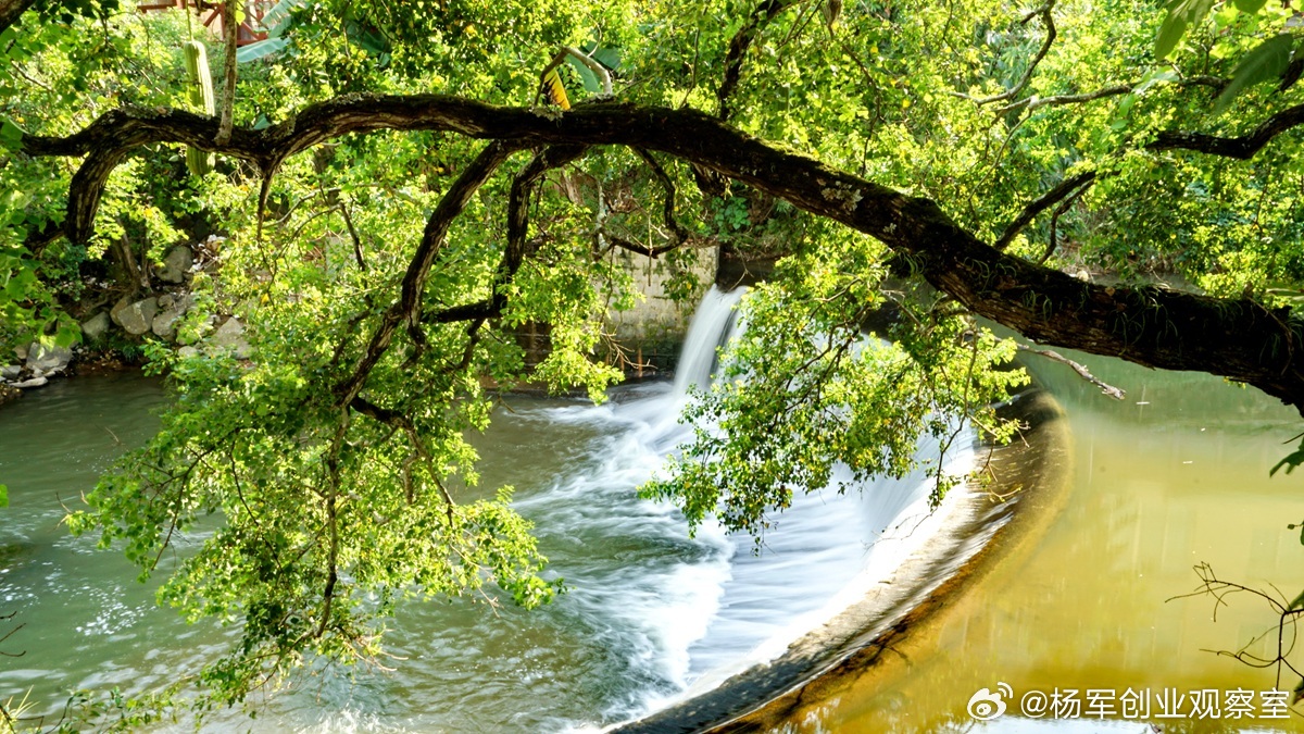 许多老板苦恼，学了很多Al，关键场合依然“发挥不出来”问题不在于“知”，而在于“