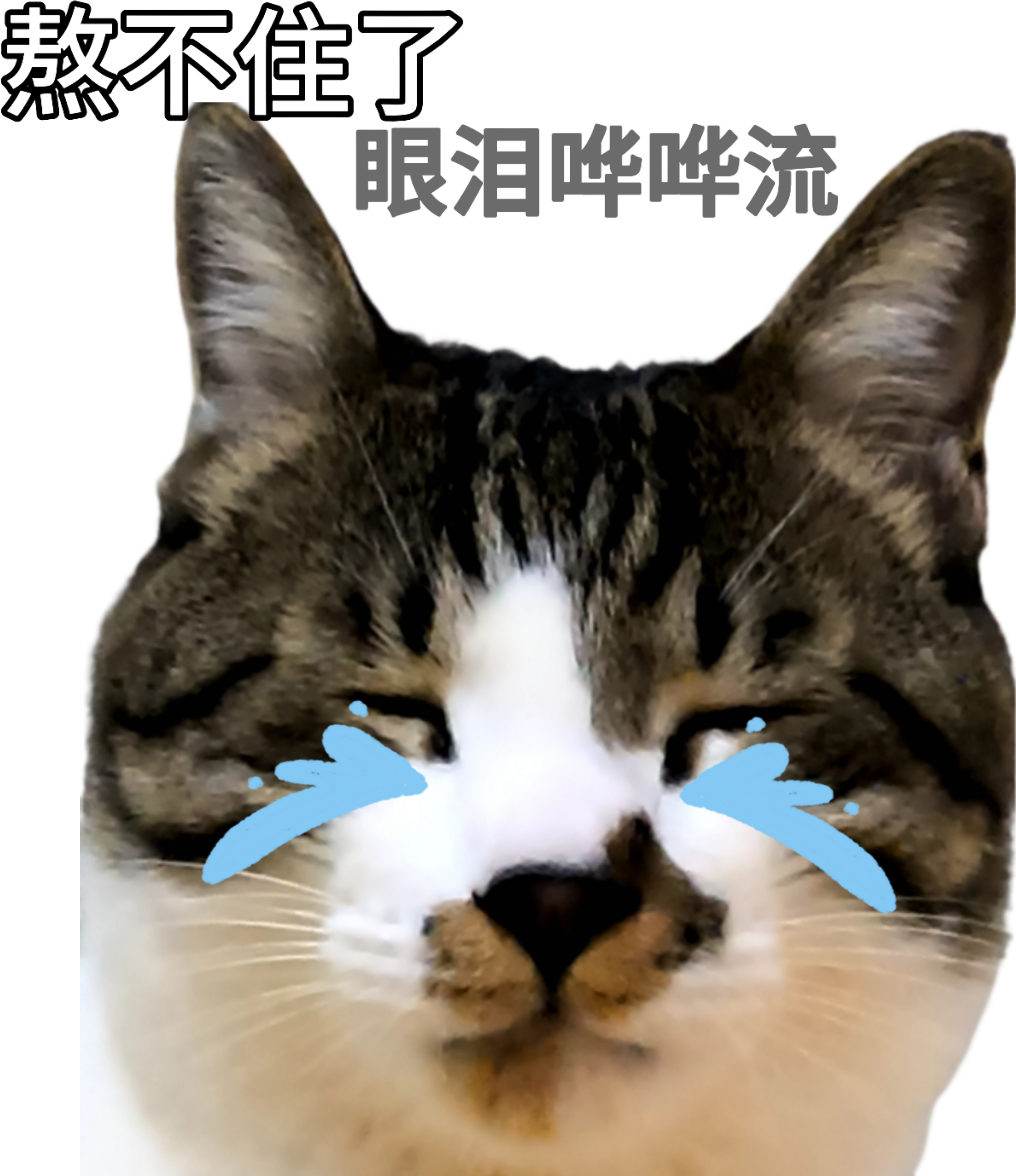 签到咯明天三十多度，还下大雨，南昌即将成为一个巨大的蒸笼，救命啊        
