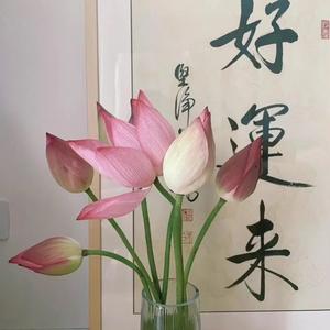 花花聊日常