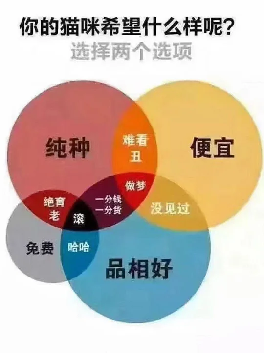 很有趣 你会怎么选
