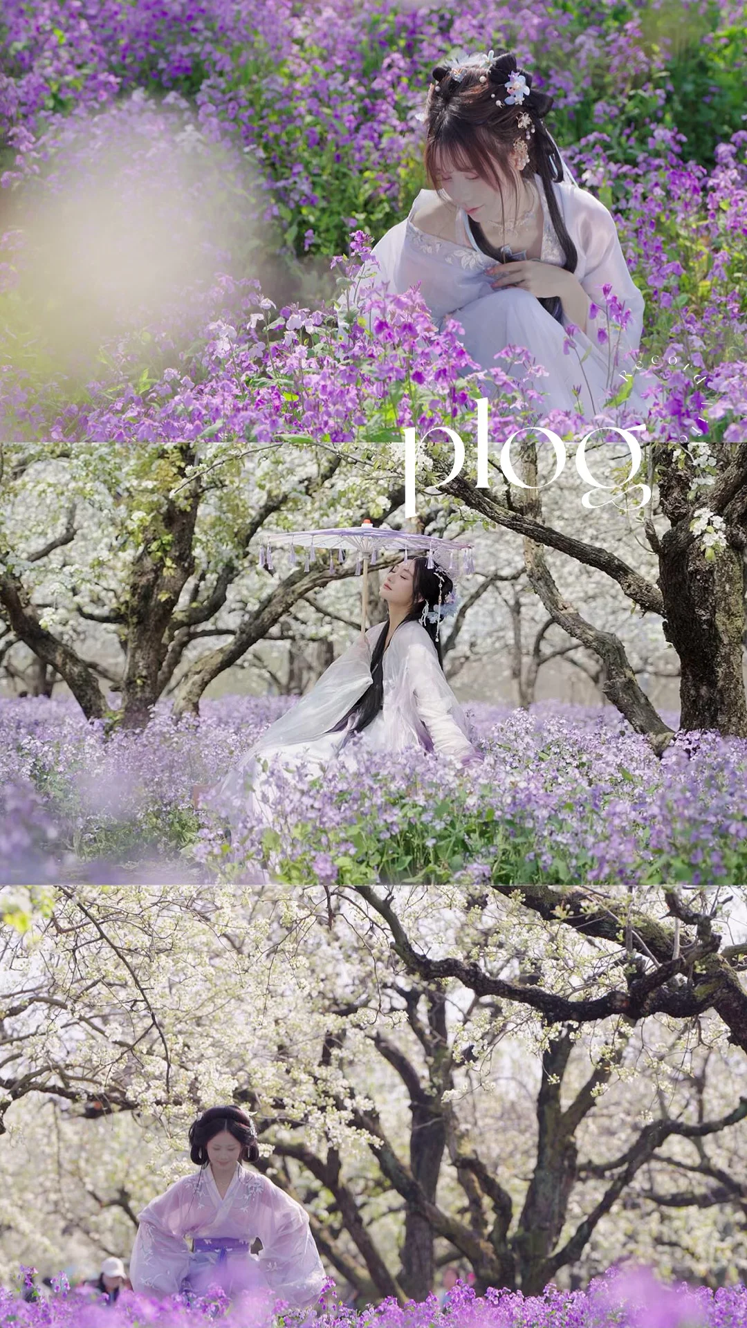 My life|原来春天是一场心照不宣的消磨🌸