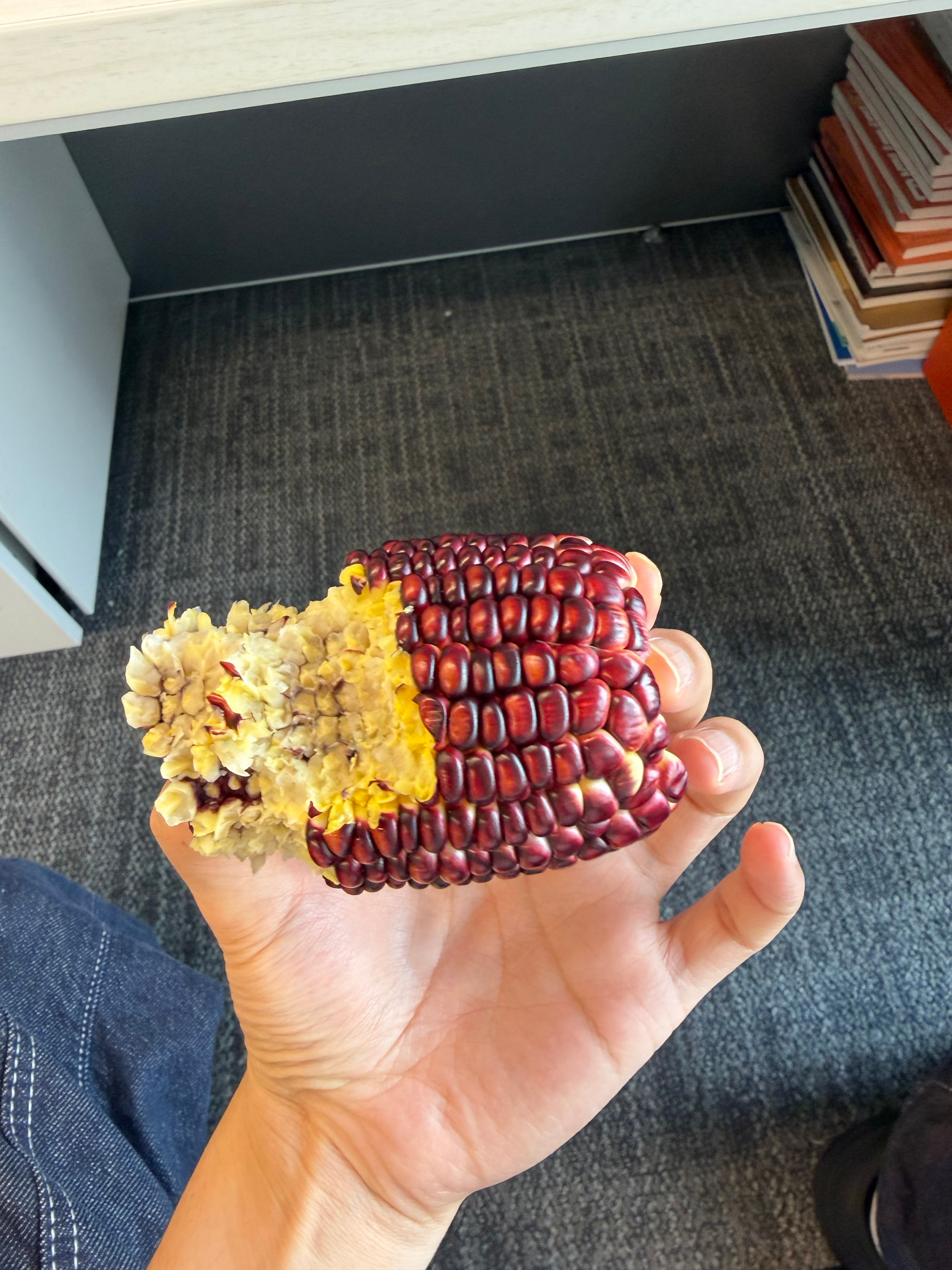 我去，这个红宝石玉米生吃好甜，有一股龙眼味
