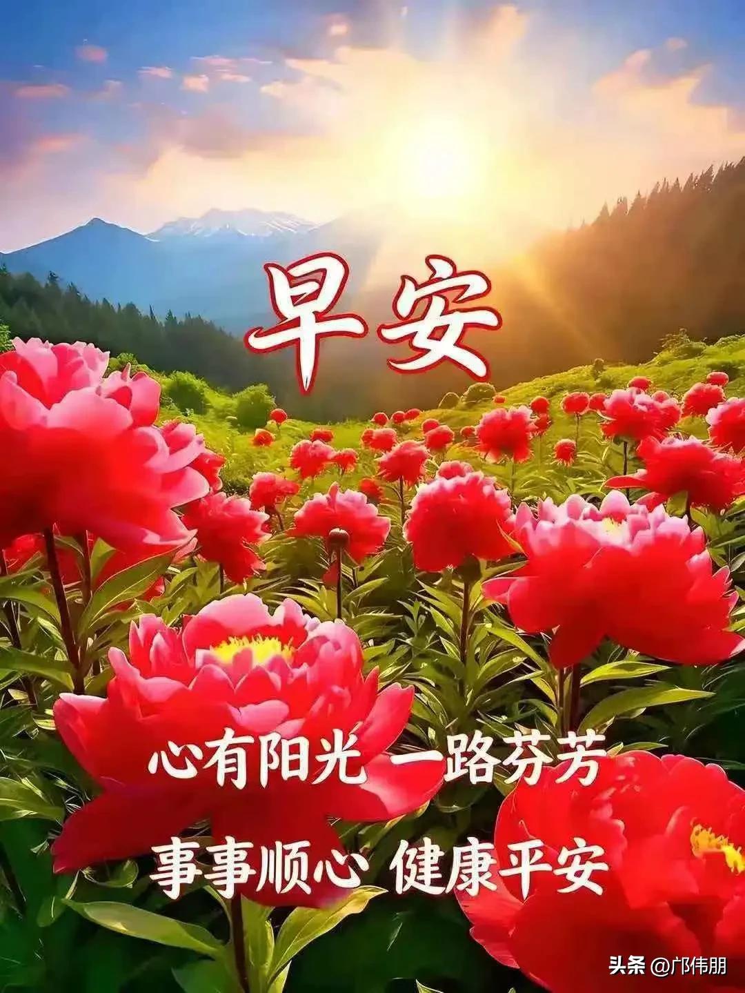 生活不必太拥挤，把圈子变小，把语速放缓，把心放宽。用心做好手边事，该来的，都在路