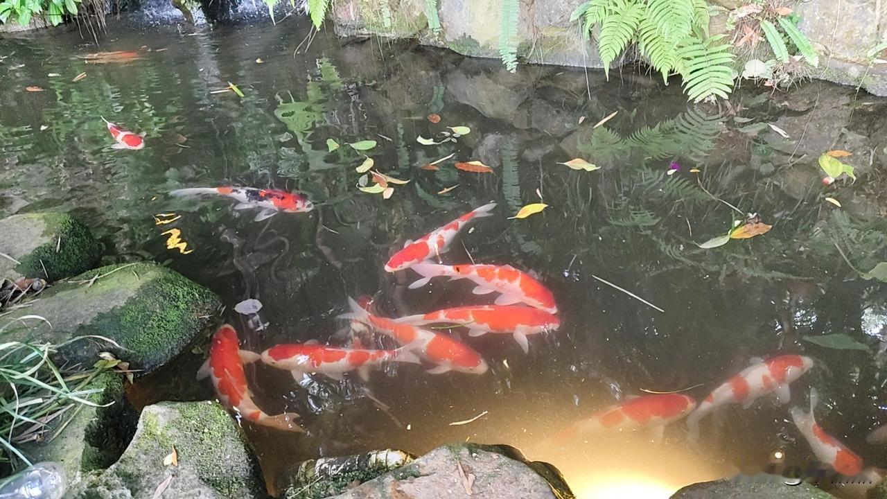 主要是不会“正确的”爱自己，糟蹋自己的身体，婚姻也像在完成任务，一个月内实现，不