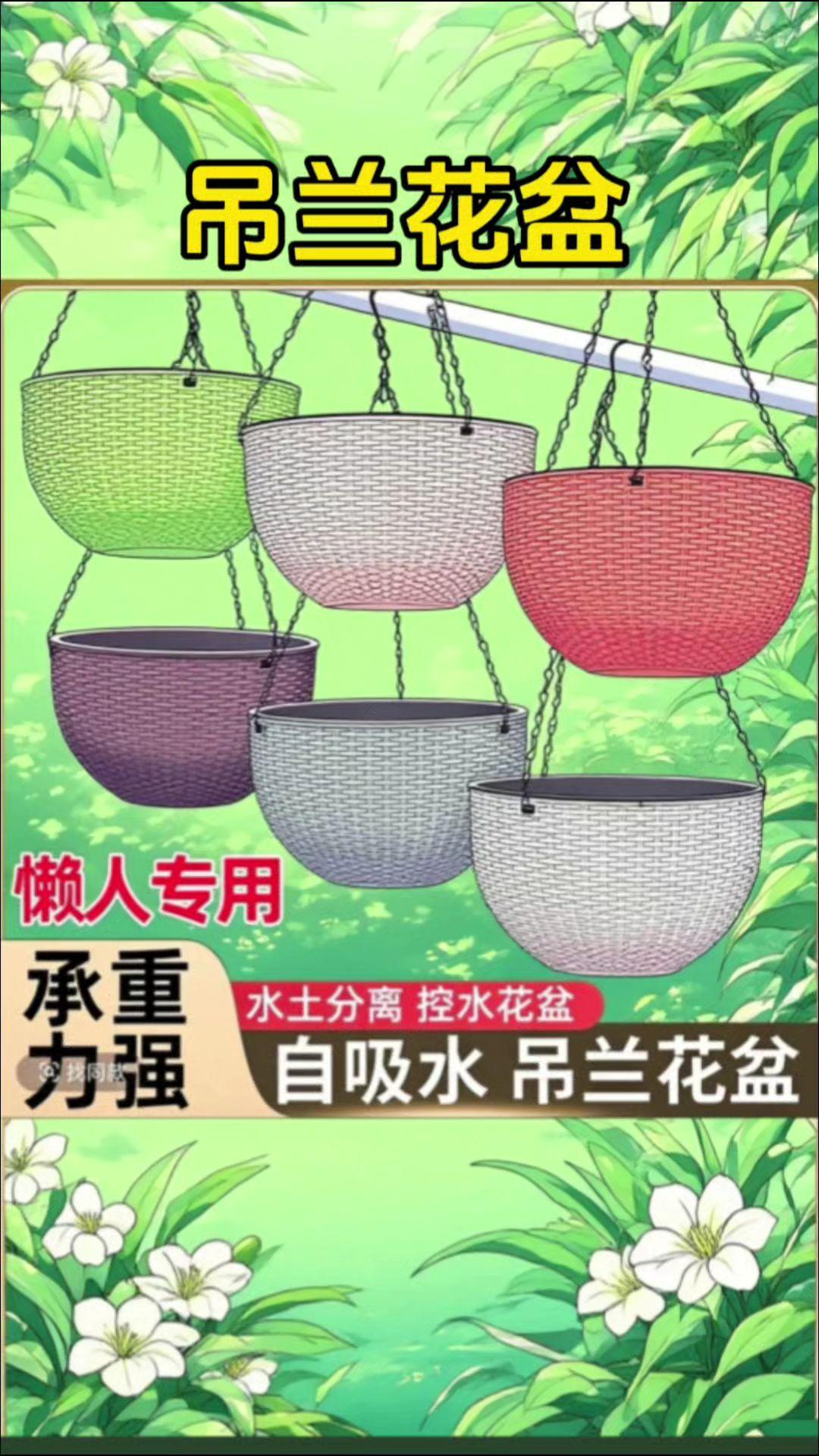 花盆 吊兰