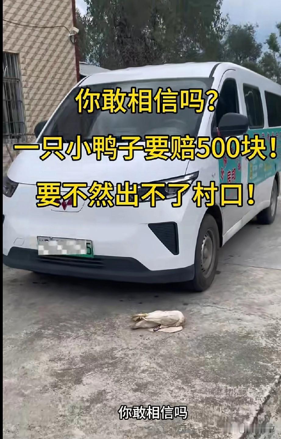 没有500元出不了村口！
近日陆川县某村，无人驾驶物流货车，压死了，村民的一只鸭