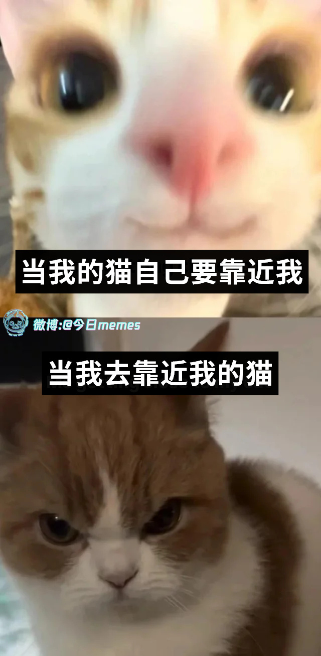 免了（9gag）今日meme[超话] 今日memes ​​​