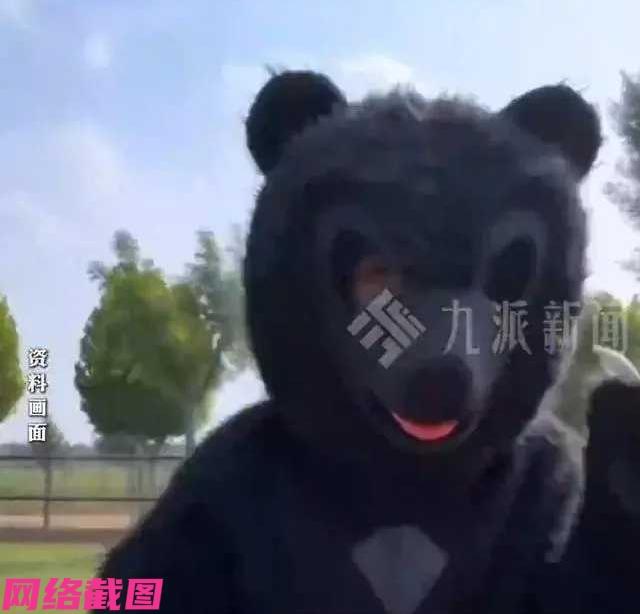 河南漯河某个动物园，这次发布年薪十万招人扮黑熊的消息，立马引起热潮。

看到动物