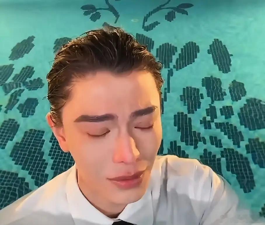 看到丁禹兮在泳池直播时大哭，才明白《南部档案》对他真的很重要。这部电视剧有原著背