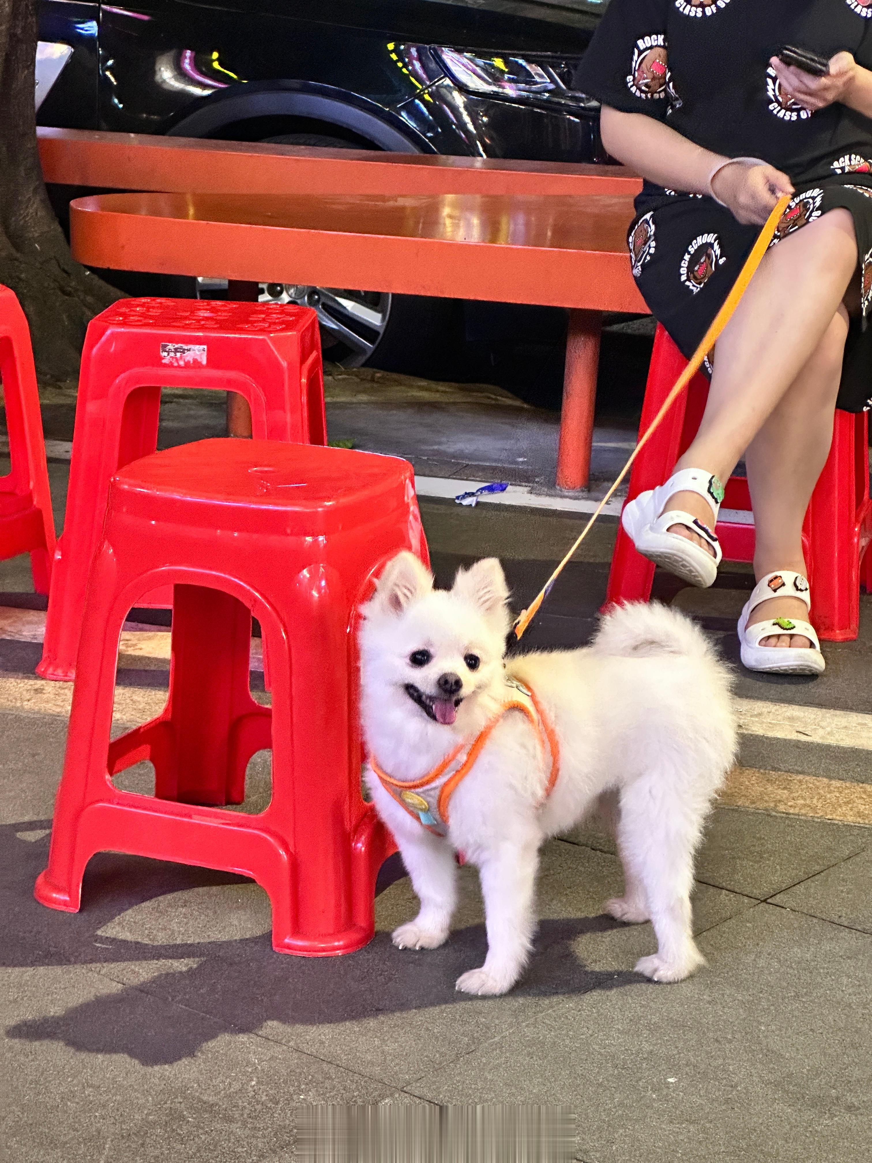 广东终于……入冬了[允悲] ​​​