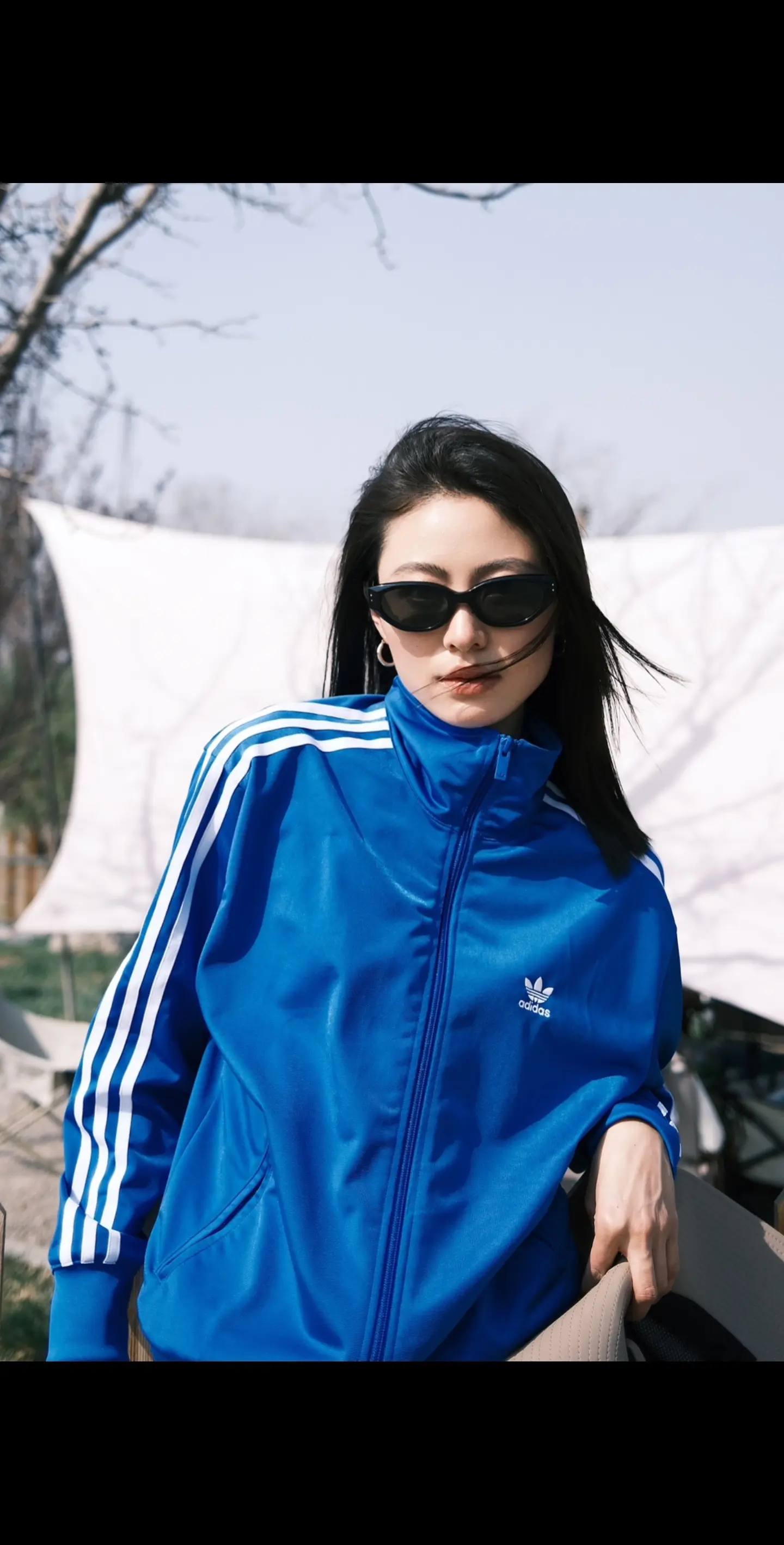 春天的薄荷曼波。露营去啦