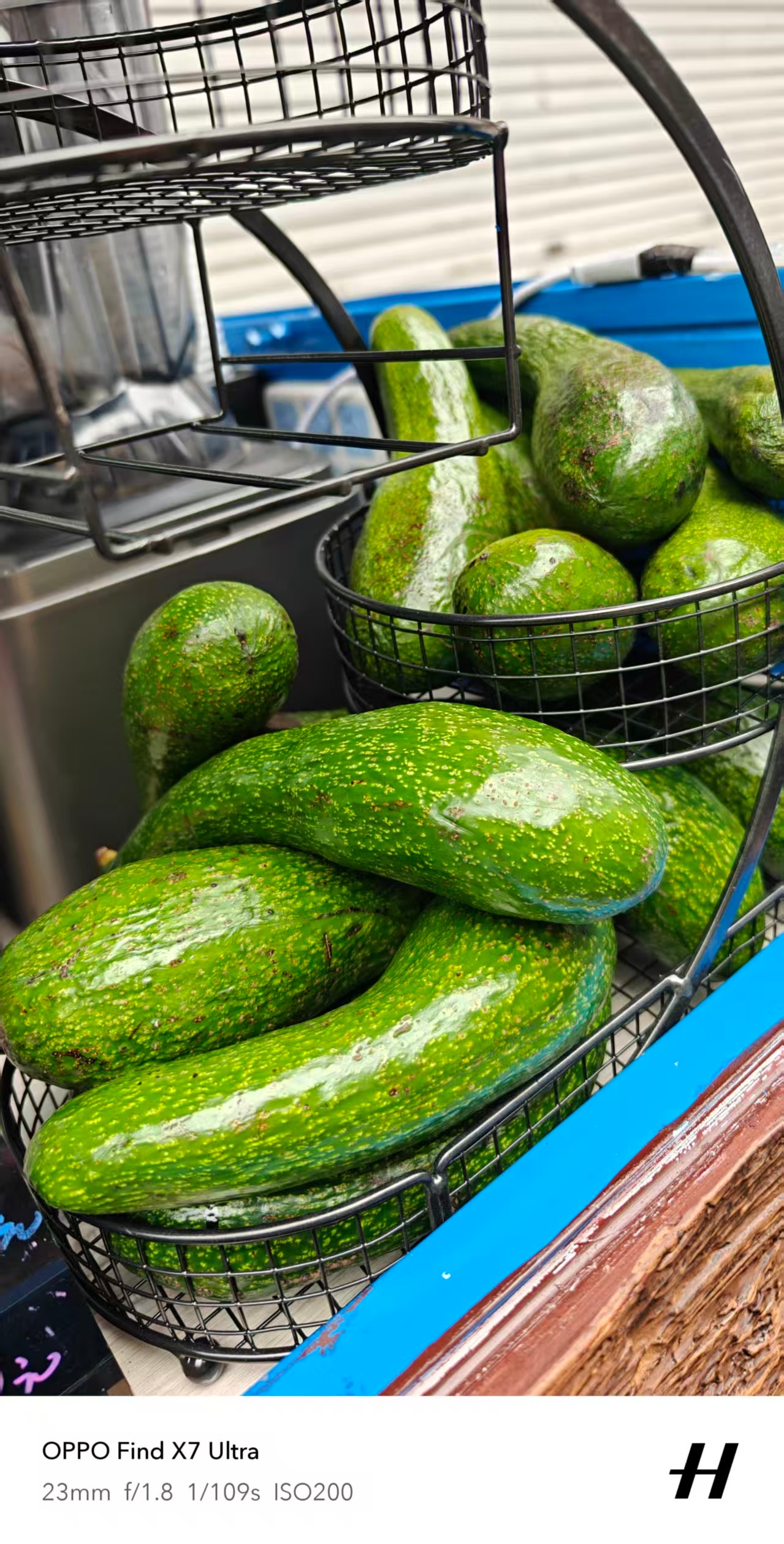 如果我说这个是牛油果，你们信吗？