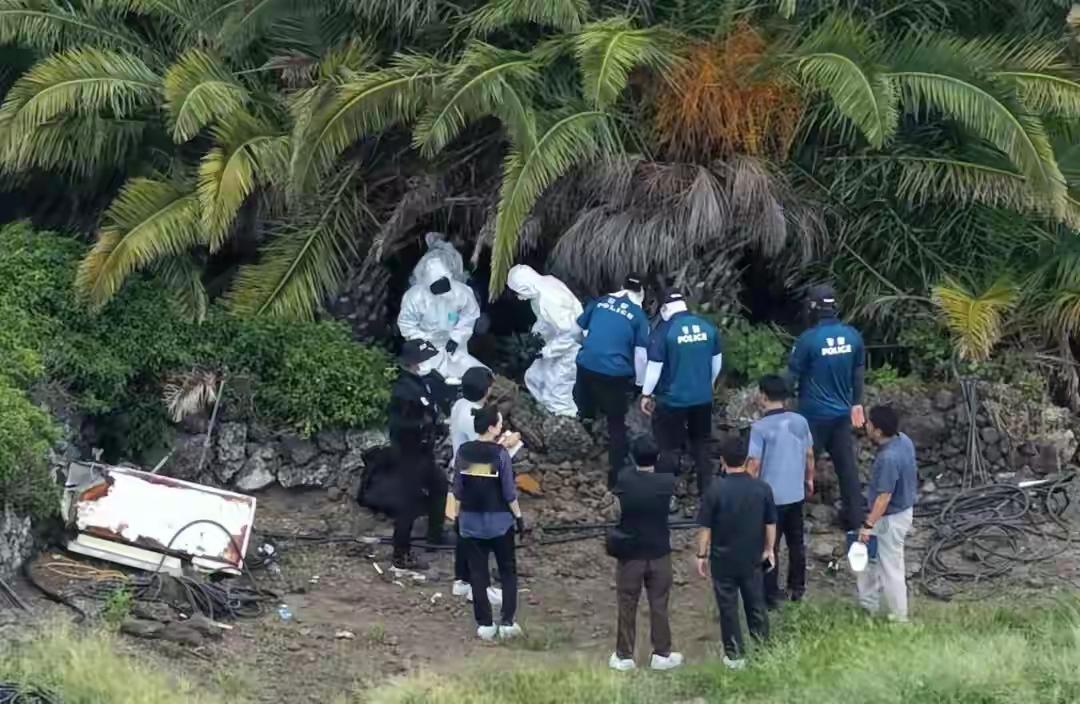 三天四起死亡案件，为何济州岛的结案速度如此之快？面对一连串离奇的死亡事件，难道仅