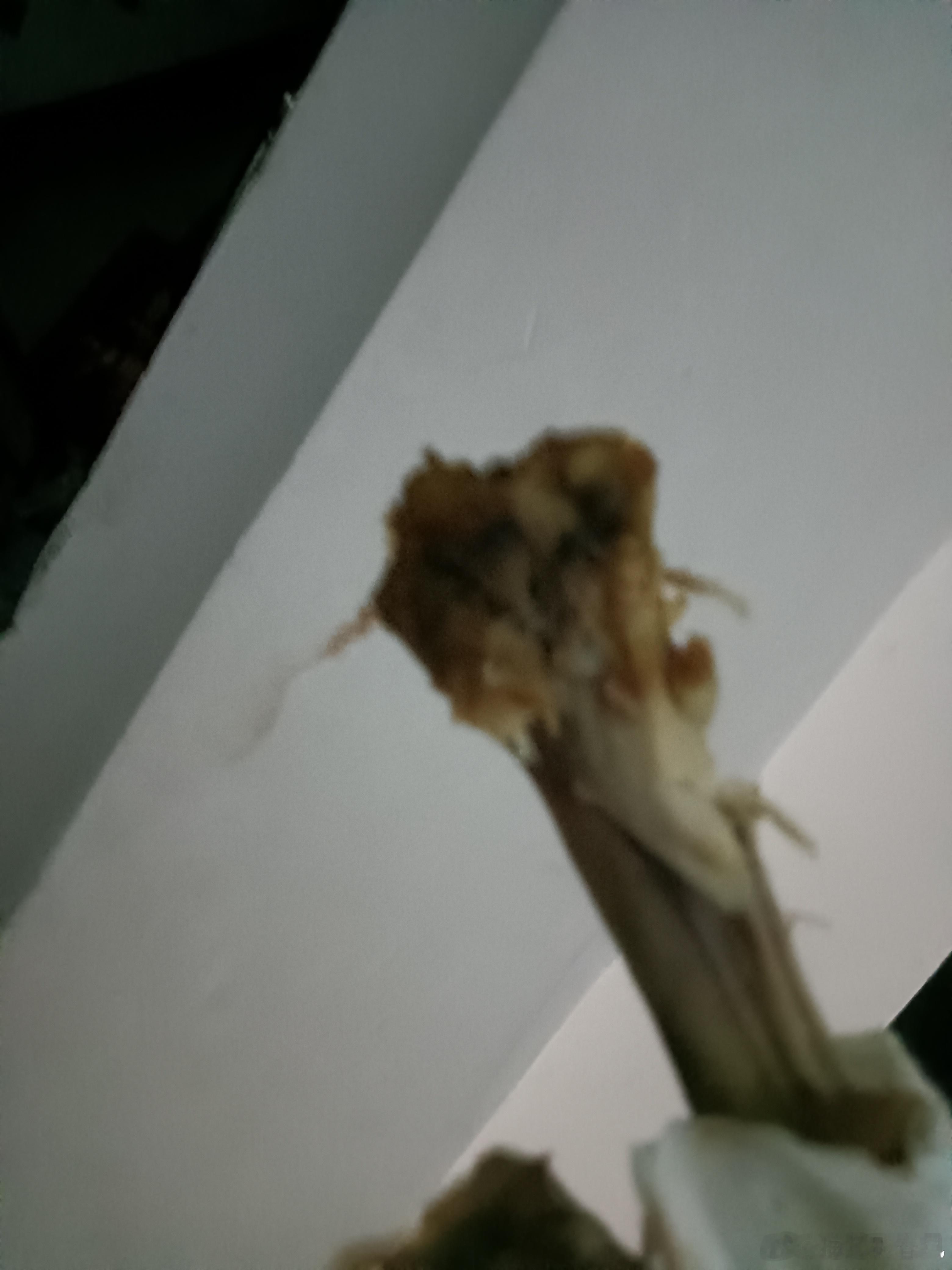 股市跌了，别人关灯吃大面，我关灯一边啃鸡腿骨。。一边停着歌。眼泪在心里流，此际你