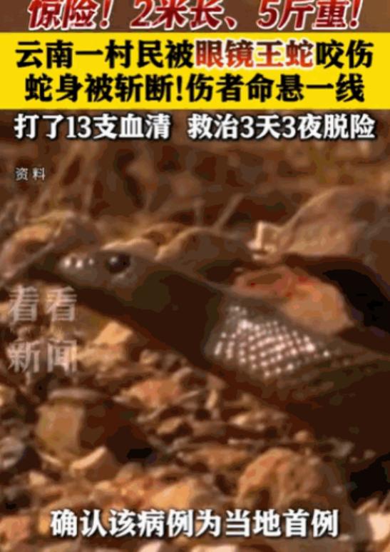 “打蛇不死反成仇”，据媒体5月10日报道，云南一名村民遭遇了一条长达2米、足有5