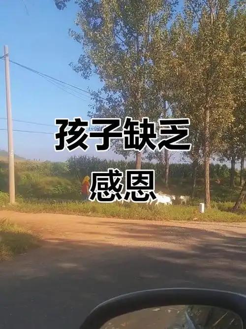 人到中年才懂：家里最大的苦，从不是穷，而是养出不懂感恩的孩子
         