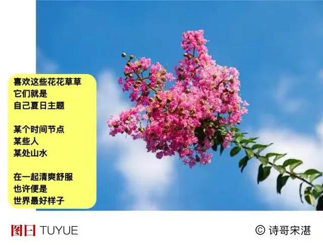 坐在山头上  我想
若是能摘到朵白云
先送给谁
．
张三李四王五
那么多人都可爱