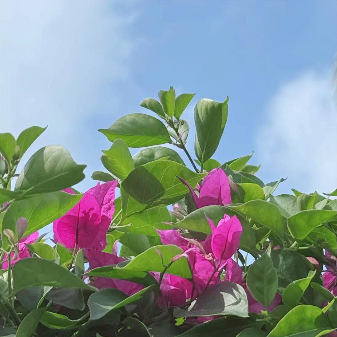 苏州迎来新的政府主要负责同志
 
3月30日，今年55岁的王维履新该市。
 
该