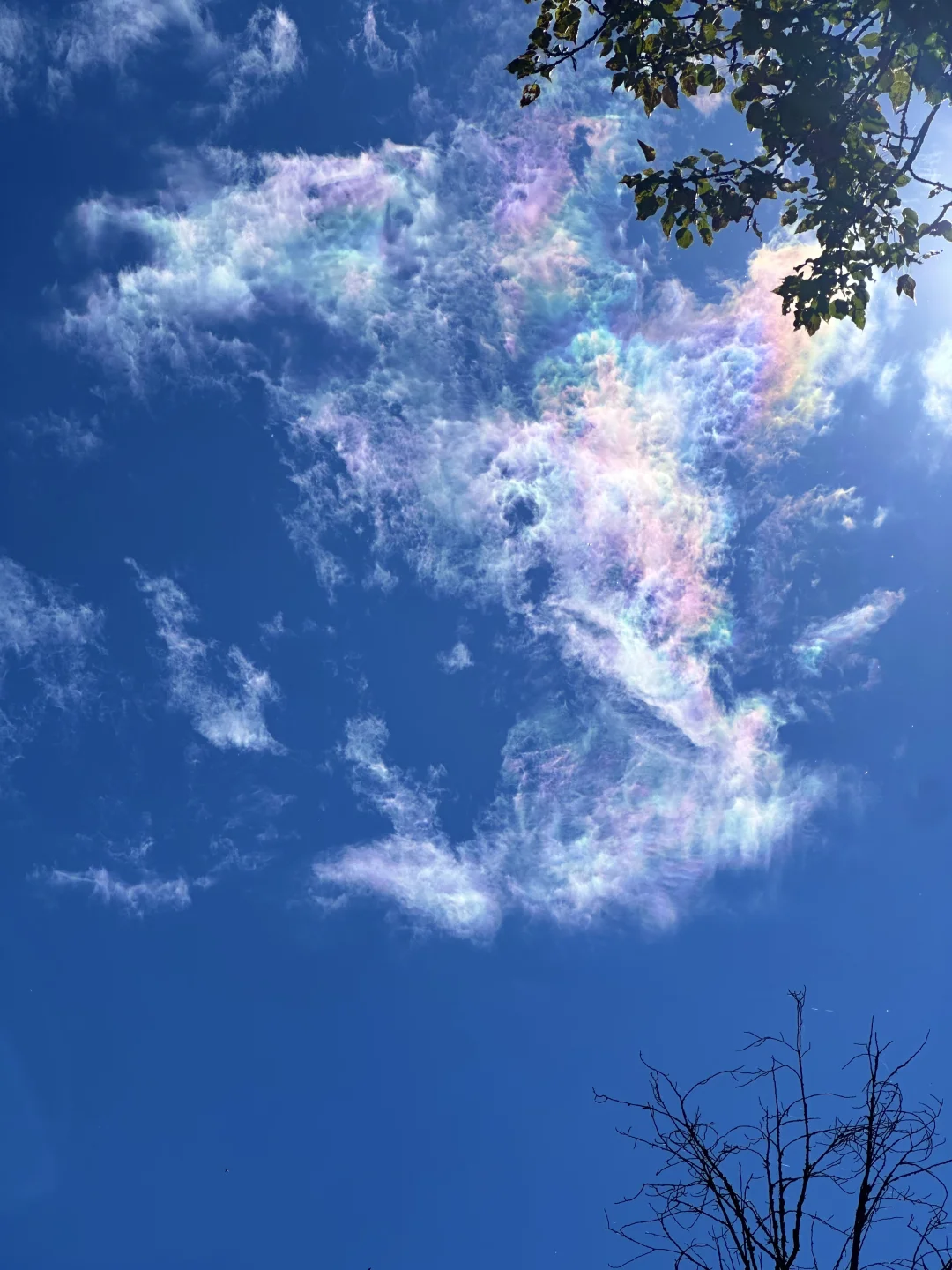 10.2下午一点半🌈九寨沟惊现彩云
