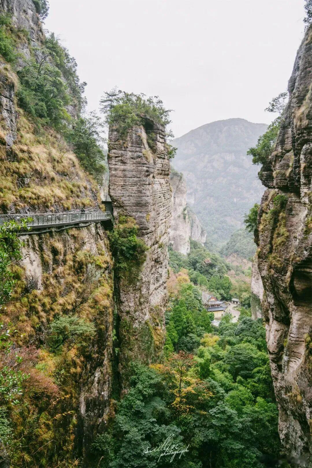 绝壁奇峰、悬崖栈道，满眼郁郁葱葱，山谷藏古宅，深山氛围感拉满