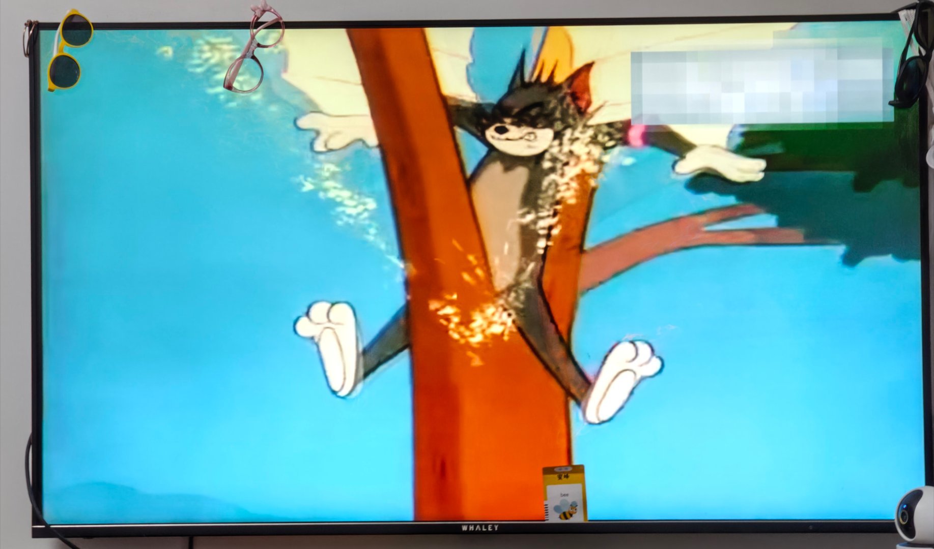 和儿子一起看猫和老鼠 恰好看到这集 