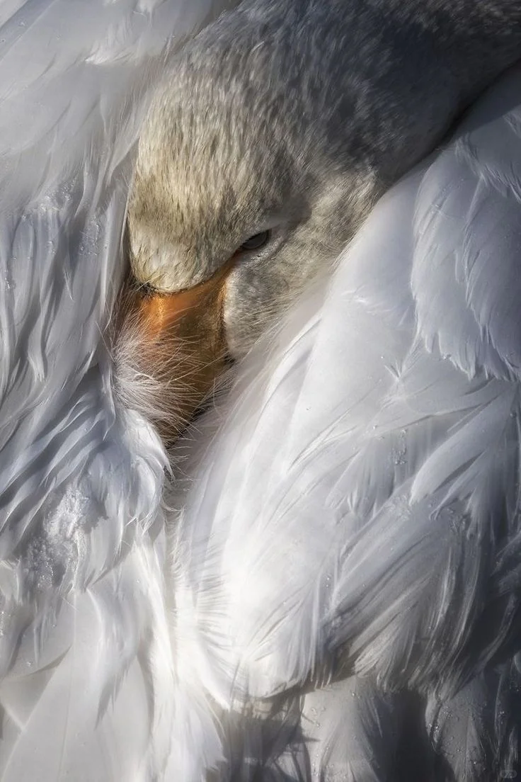 视觉审美积累 提高审美分享