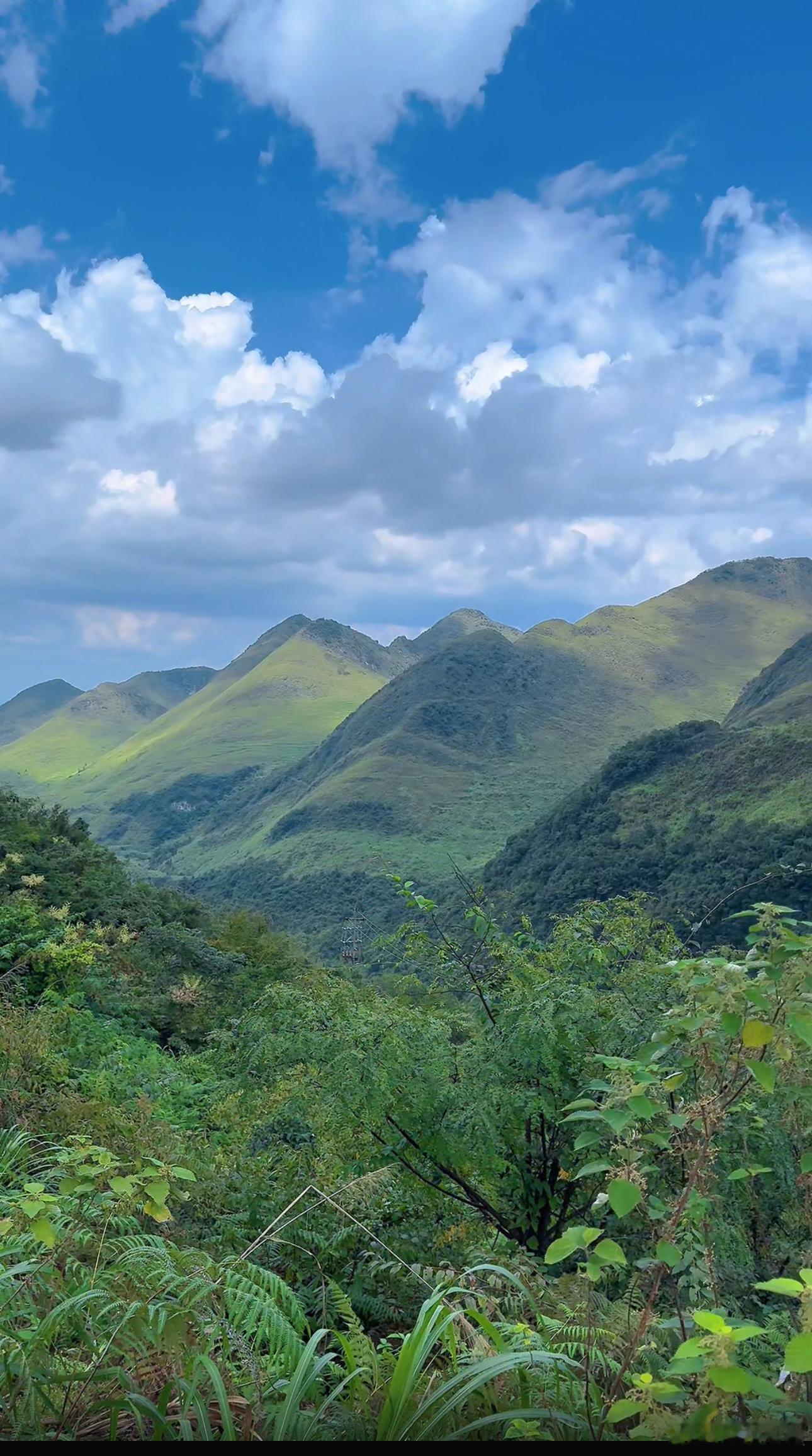 ㊗️大家新年快乐🎉🎉正月初二，开门见喜。祝大家在2026马年：龙马精神，事业