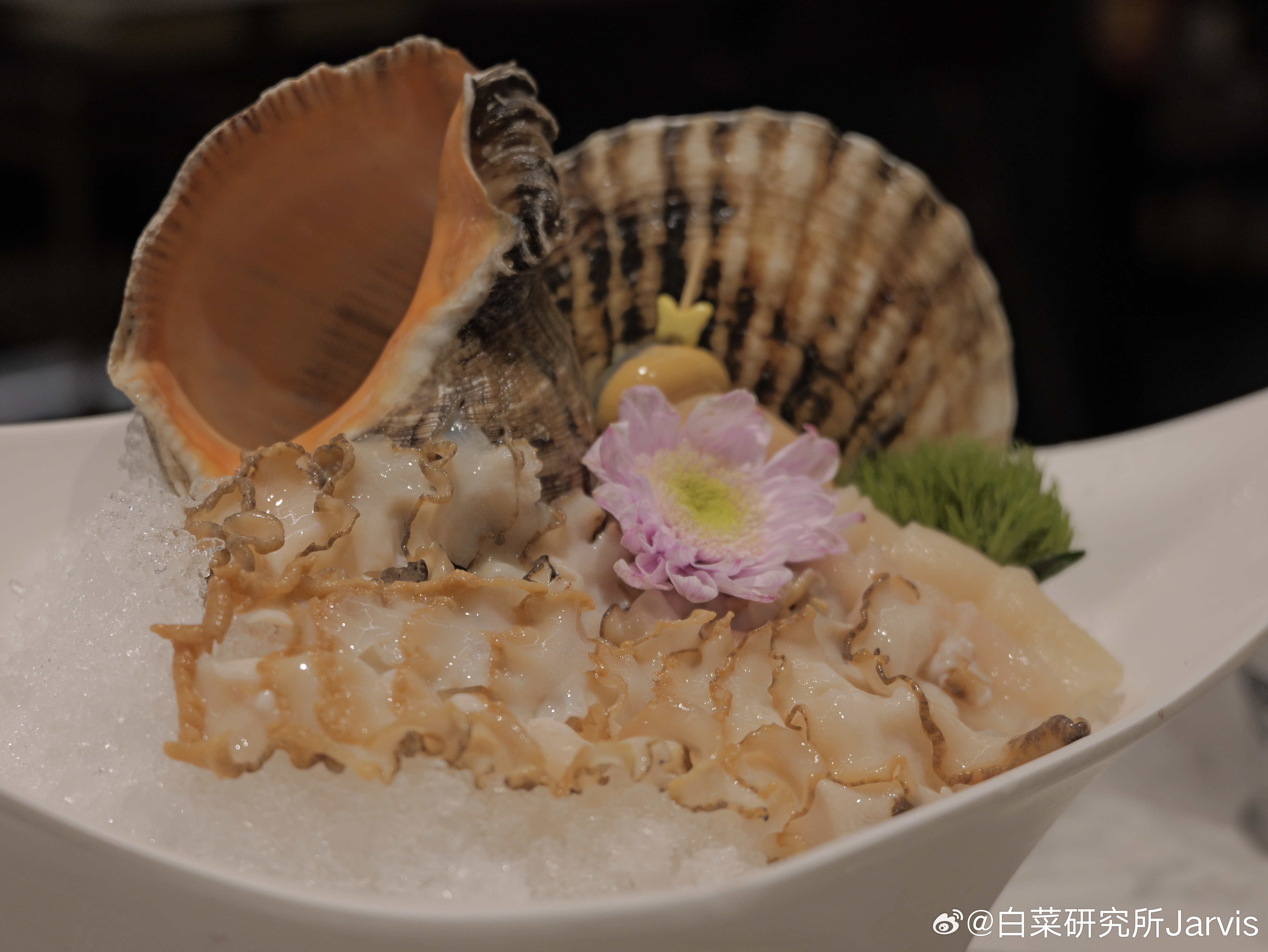 还得是北方的冷水海鲜，个顶个都是巨无霸，手机丢进去还没个贝壳大 大连·美丽园海鲜